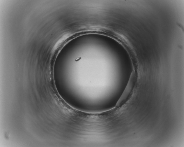 X0000099381172200805151611