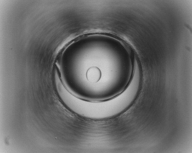 X0000099381173200805151611