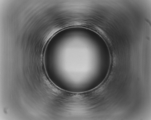 X0000099381178200805151611