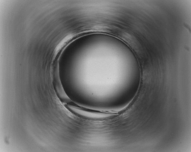 X0000099381180200805151611