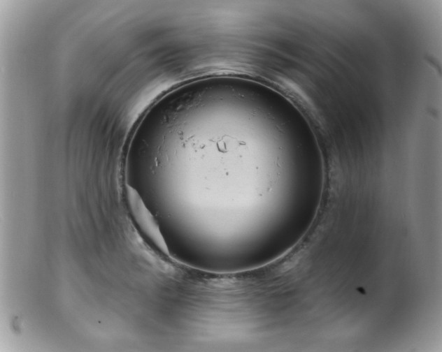 X0000099381182200805151611