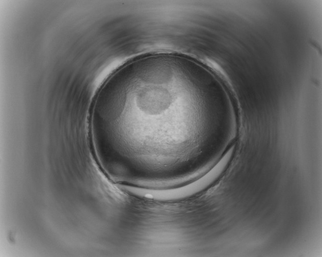 X0000099381183200805151611