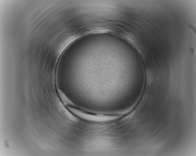 X0000099381186200805151611