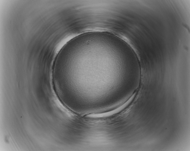 X0000099381187200805151611