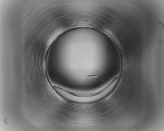 X0000099381188200805151611