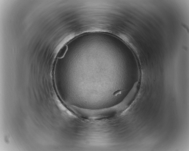 X0000099381189200805151611