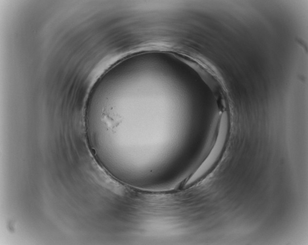 X0000099381192200805151611