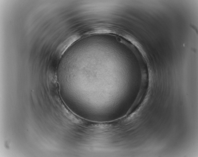 X0000099381193200805151611