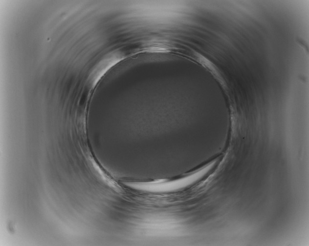 X0000099381194200805151611