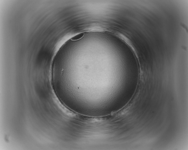 X0000099381195200805151611