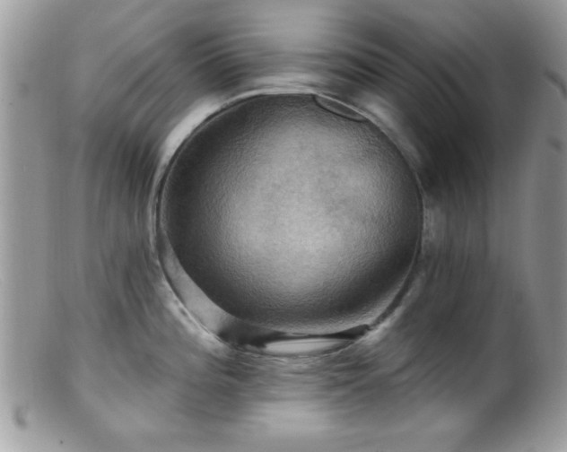 X0000099381196200805151611