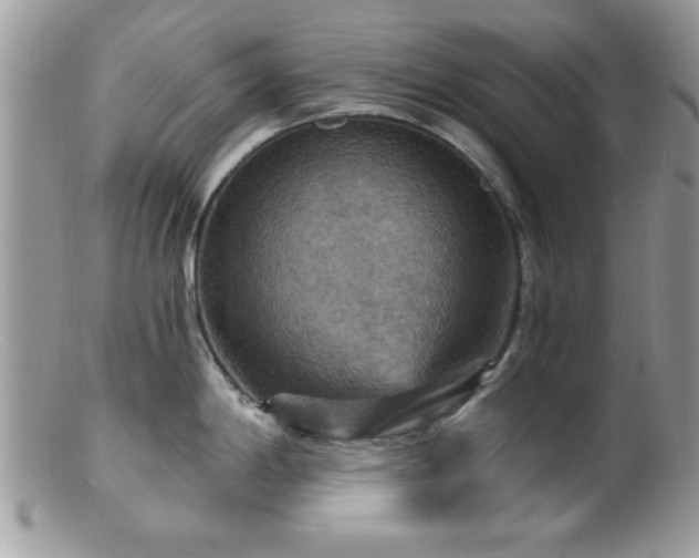 X0000099381198200805151611