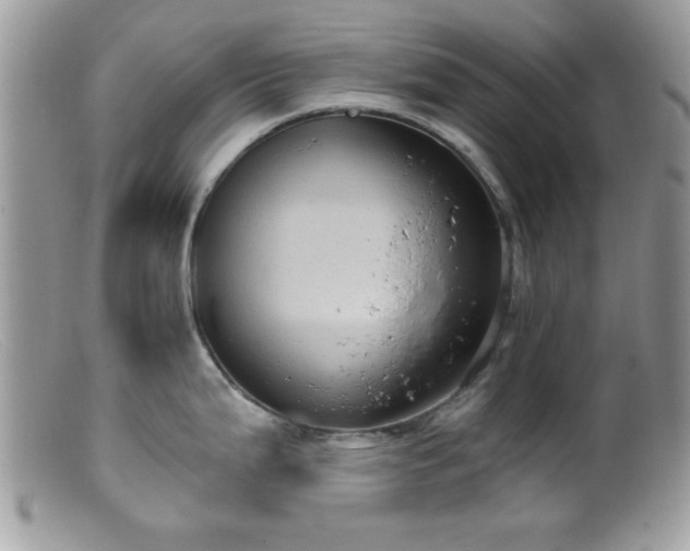 X0000099381199200805151611