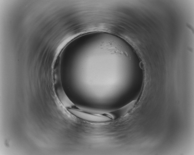 X0000099381200200805151611