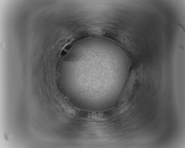 X0000099381201200805151610