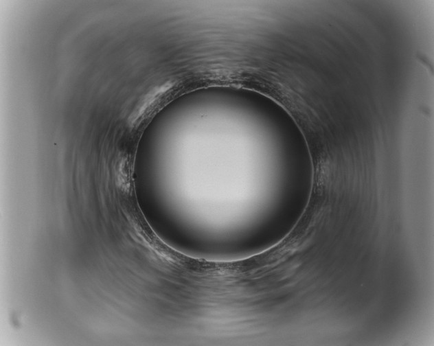 X0000099381202200805151610