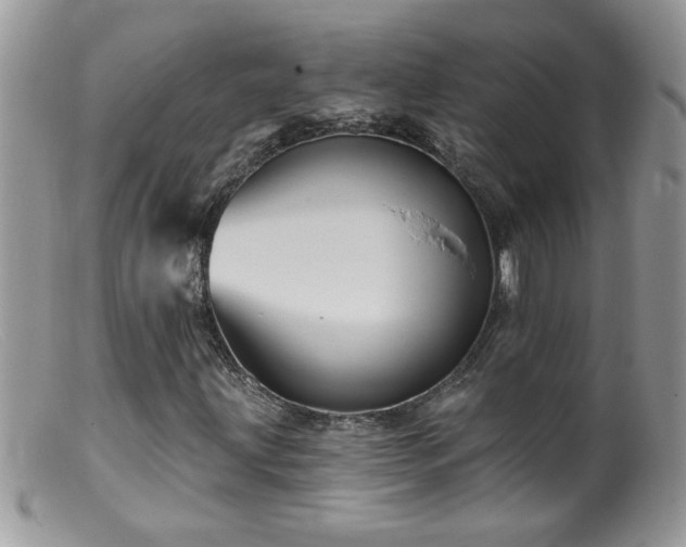 X0000099381203200805151610