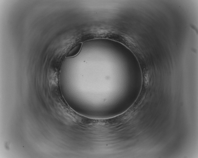 X0000099381204200805151610