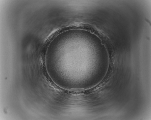 X0000099381206200805151610