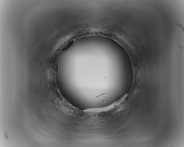 X0000099381207200805151610