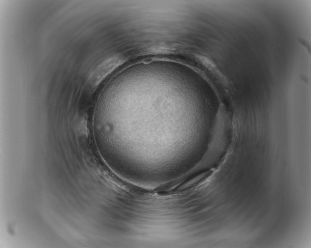 X0000099381209200805151610