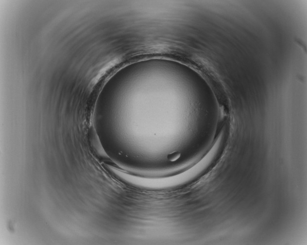 X0000099381210200805151610