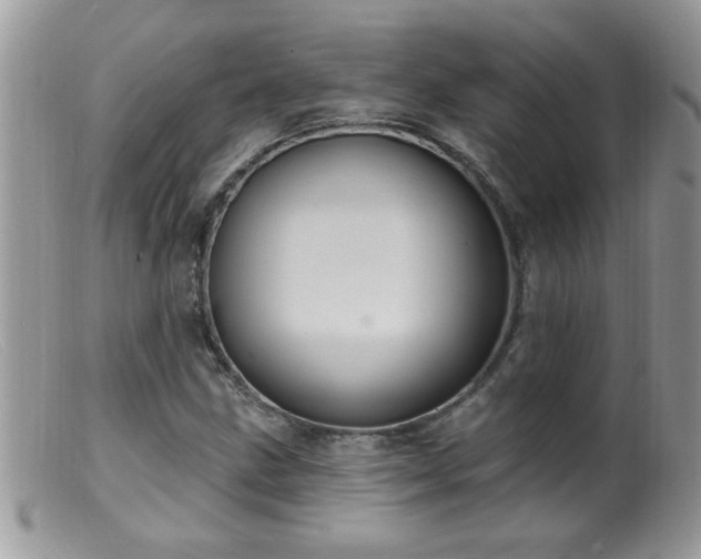 X0000099381211200805151610