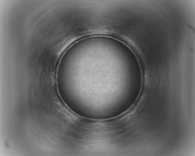 X0000099381212200805151610