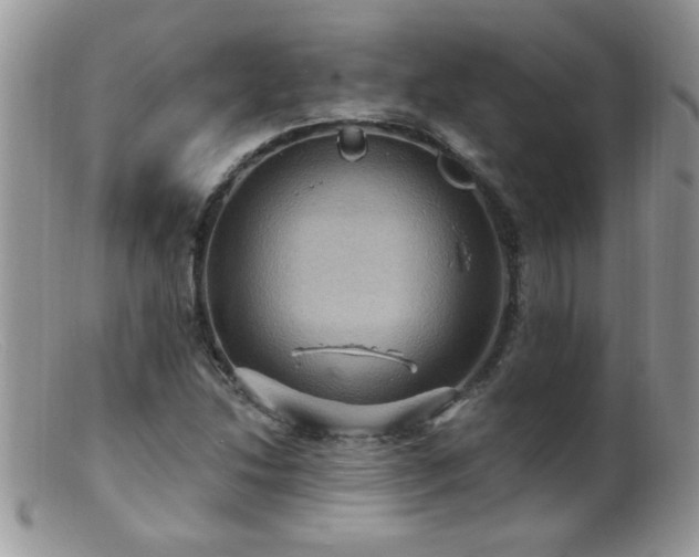 X0000099381214200805151610