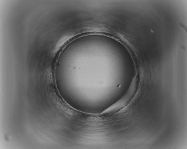 X0000099381215200805151610