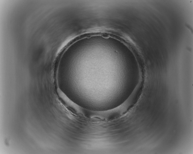 X0000099381216200805151610