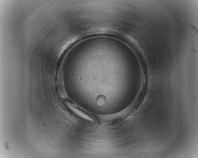 X0000099381218200805151610