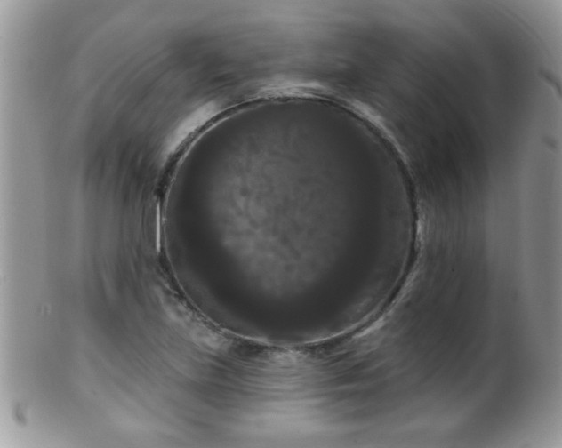 X0000099381219200805151610