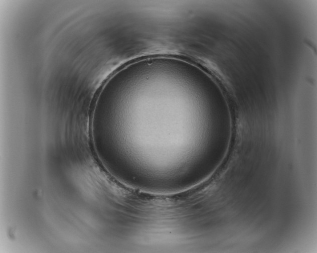 X0000099381220200805151610