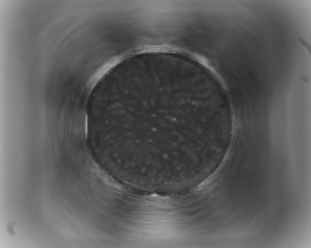 X0000099381221200805151610