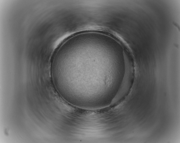 X0000099381222200805151610