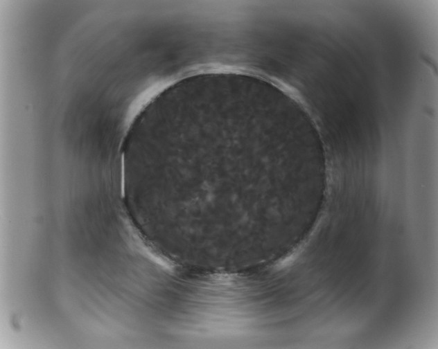 X0000099381223200805151610