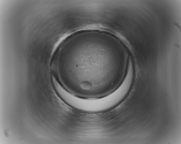 X0000099381224200805151610