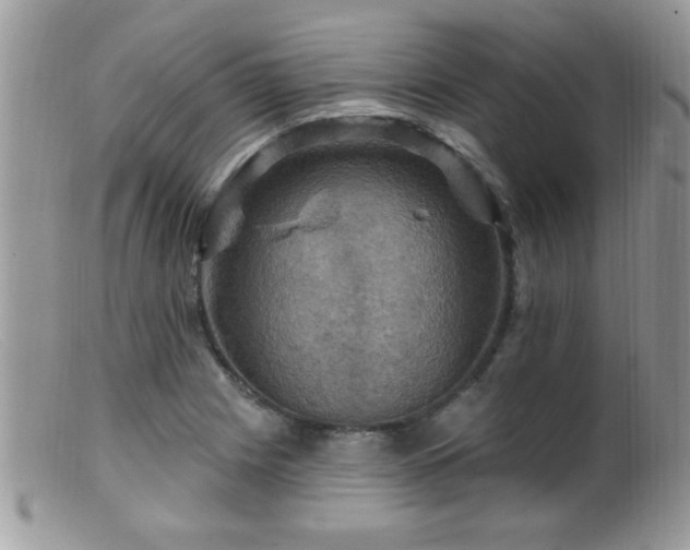 X0000099381225200805151610