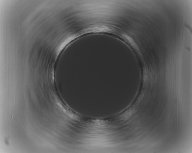 X0000099381226200805151610