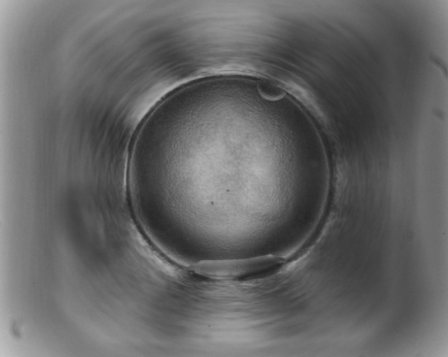 X0000099381228200805151610