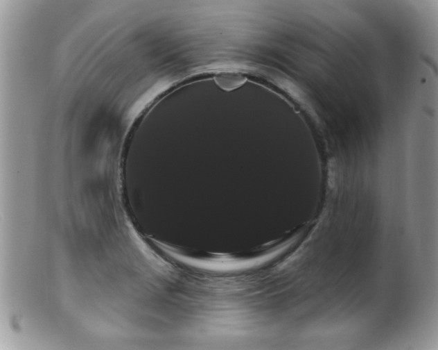 X0000099381229200805151610