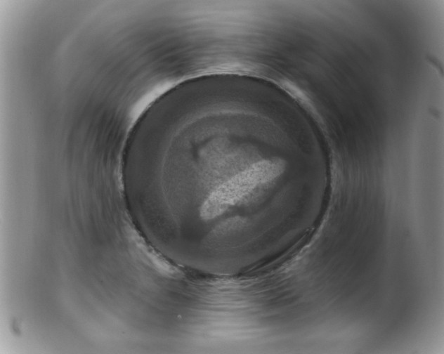 X0000099381230200805151610