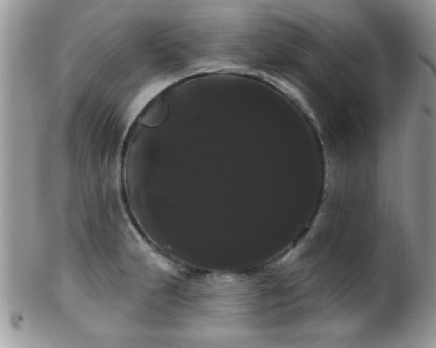 X0000099381231200805151610