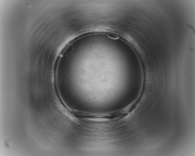 X0000099381232200805151610