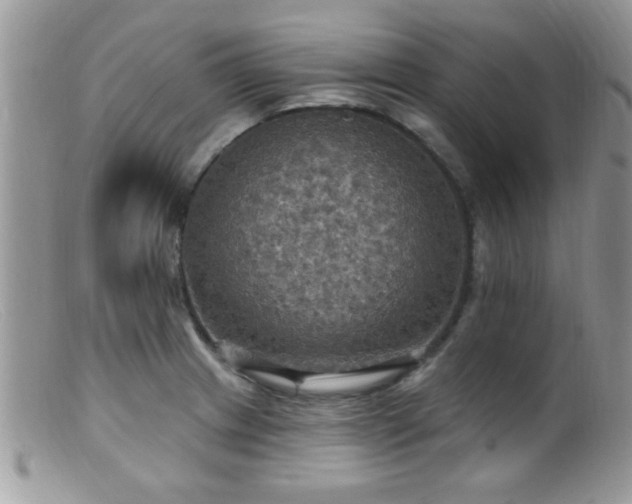 X0000099381233200805151611