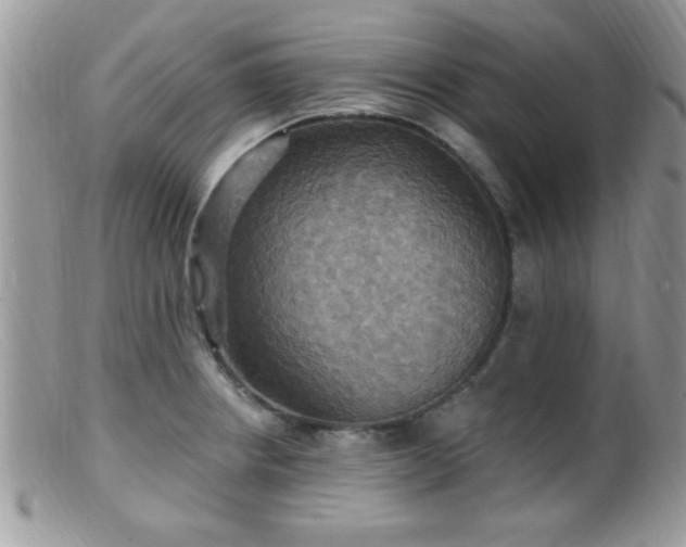 X0000099381234200805151611