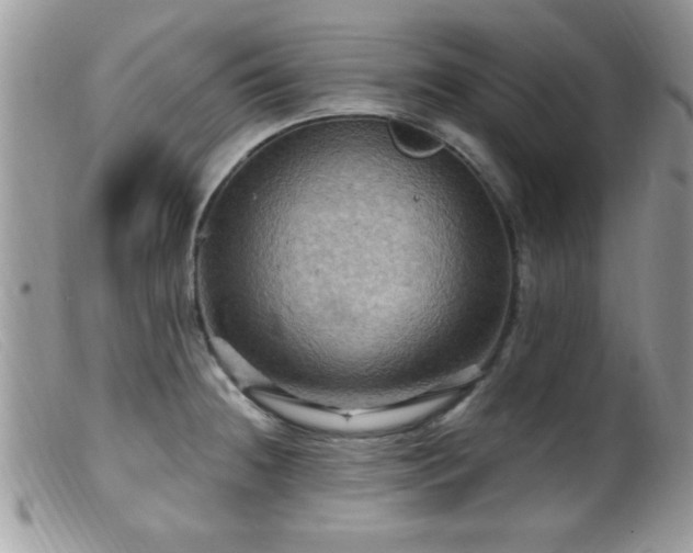 X0000099381236200805151611