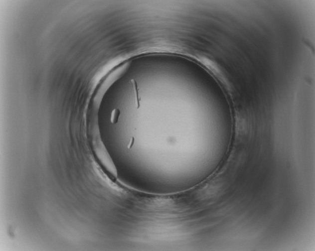 X0000099381238200805151611