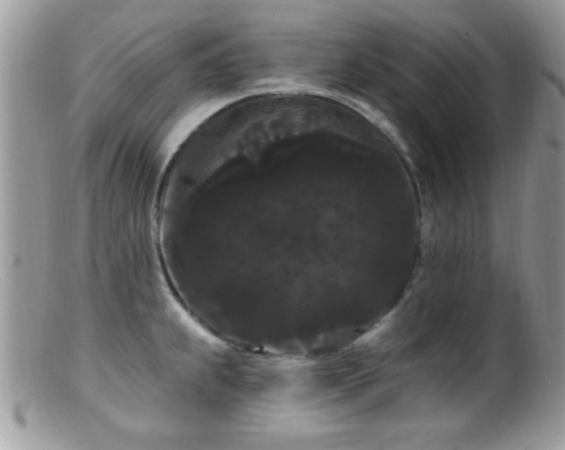 X0000099381239200805151611